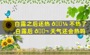 白露之后还热 🐼 不热了,白露后 🐬 天气还会热吗